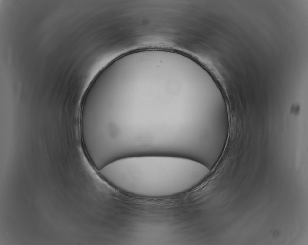 X0000091011295200708021358