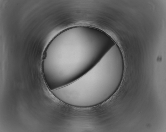 X0000091011296200708021358