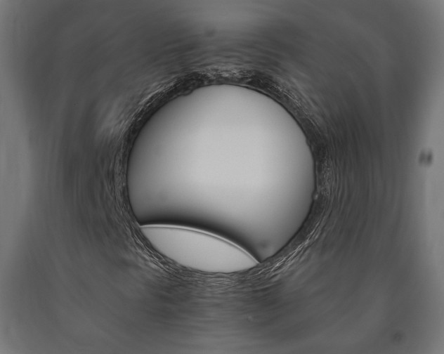 X0000091011297200708021357