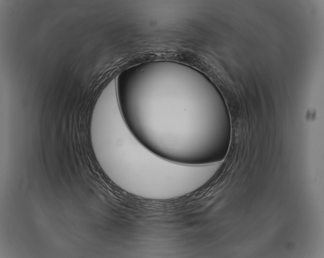 X0000091011298200708021357