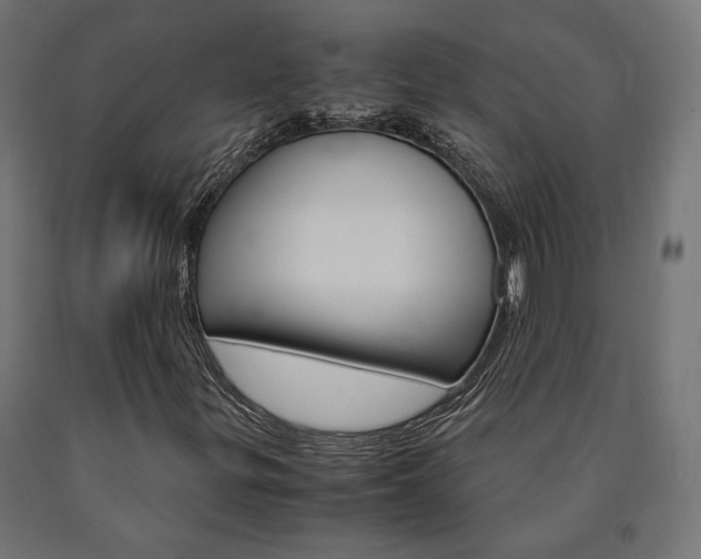 X0000091011299200708021357