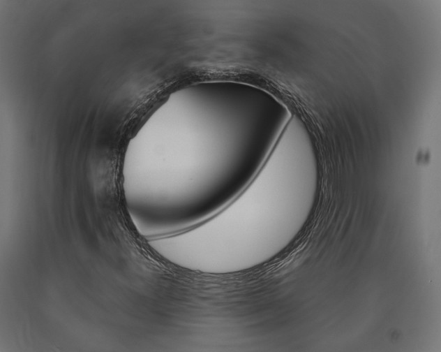 X0000091011300200708021357