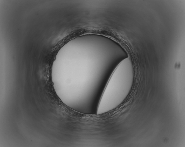 X0000091011301200708021357