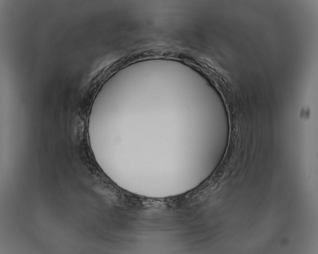 X0000091011302200708021357