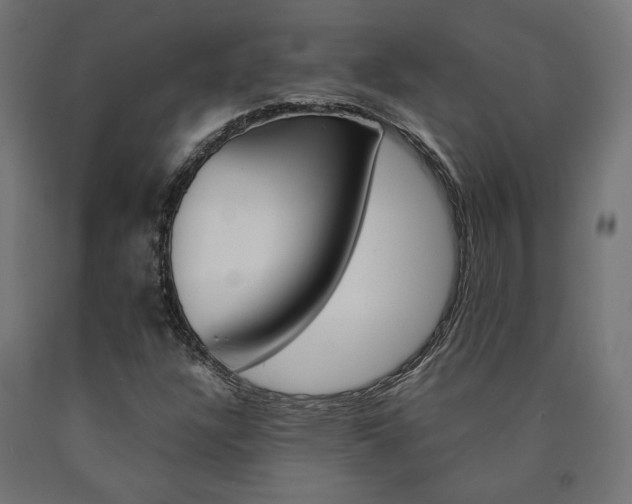 X0000091011304200708021357