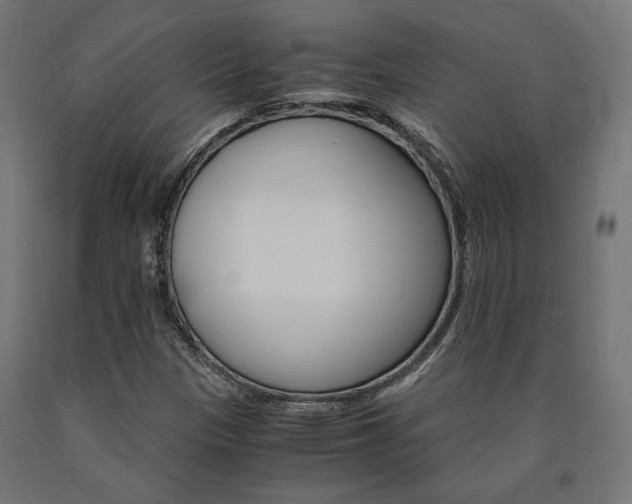 X0000091011305200708021357