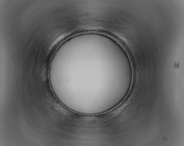 X0000091011306200708021357