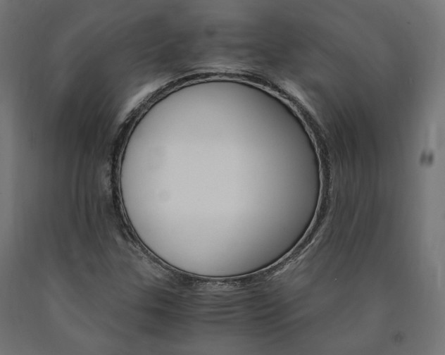 X0000091011307200708021357