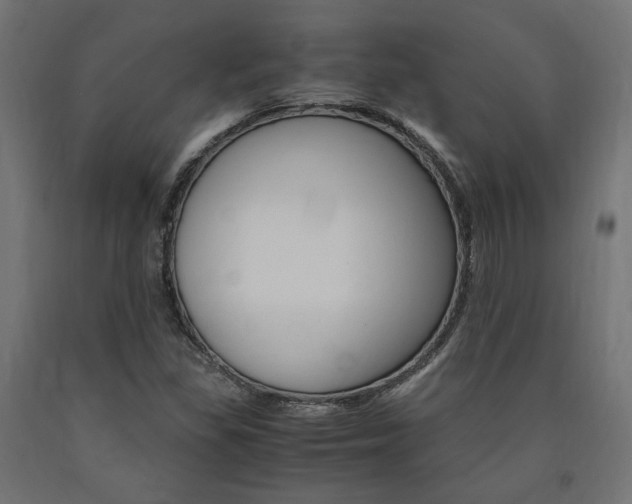 X0000091011309200708021357