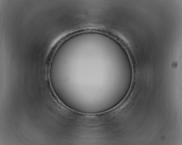 X0000091011310200708021358