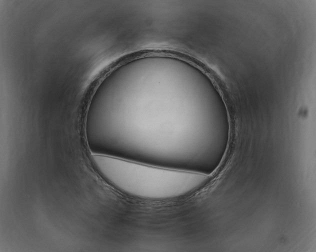 X0000091011311200708021358