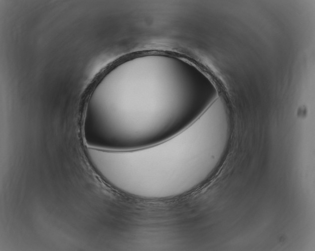 X0000091011312200708021358