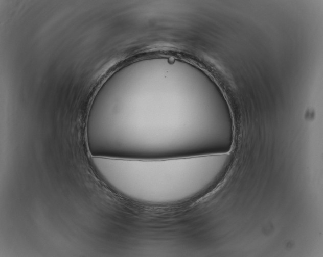 X0000091011313200708021358