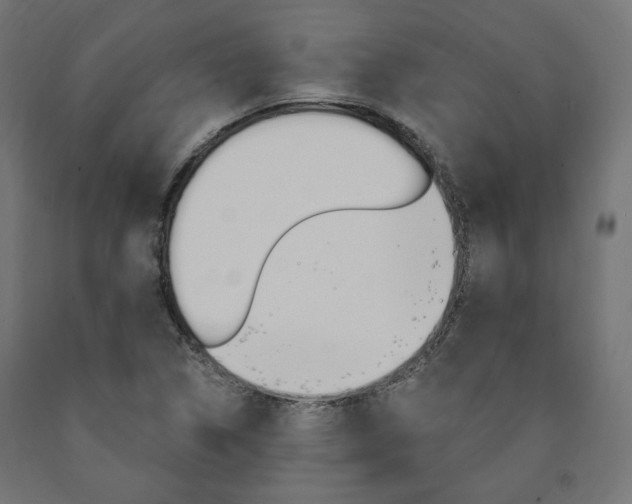 X0000091011314200708021358