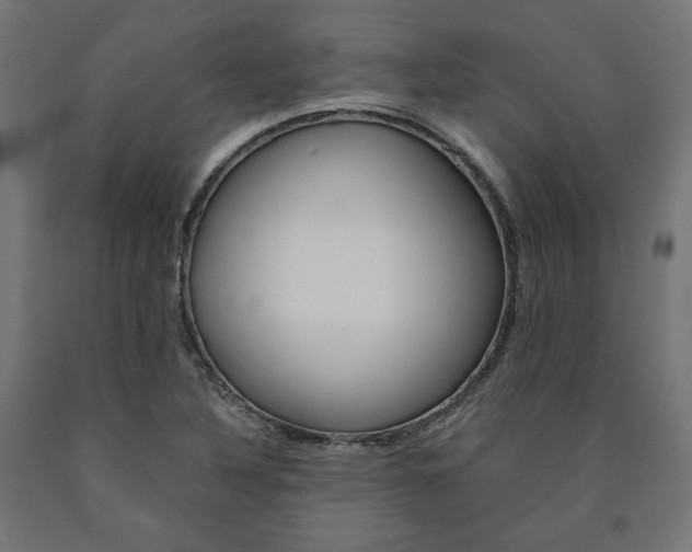 X0000091011316200708021358