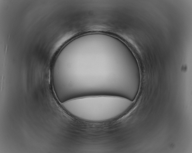 X0000091011317200708021358