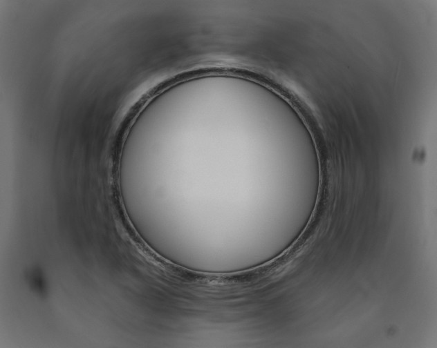 X0000091011318200708021358