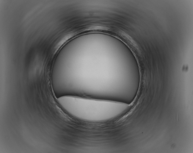 X0000091011321200708021358