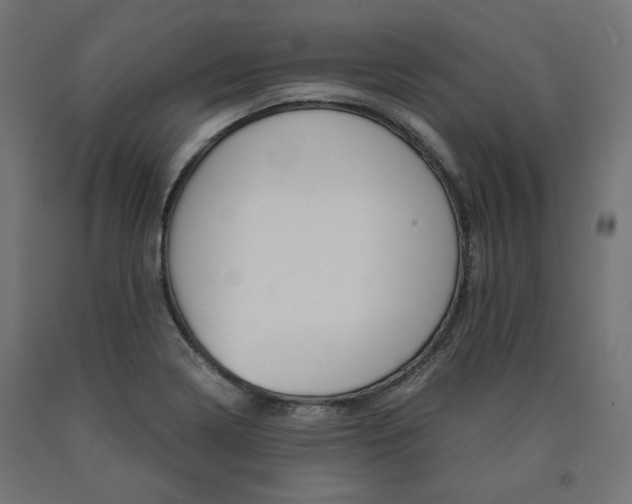 X0000091011322200708021358