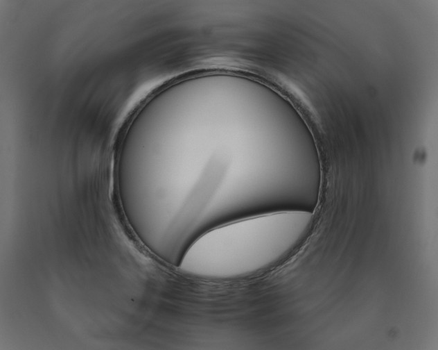 X0000091011323200708021358