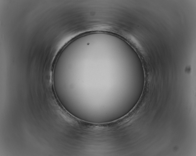 X0000091011324200708021358