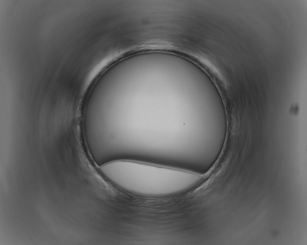 X0000091011325200708021358