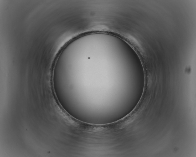 X0000091011326200708021358