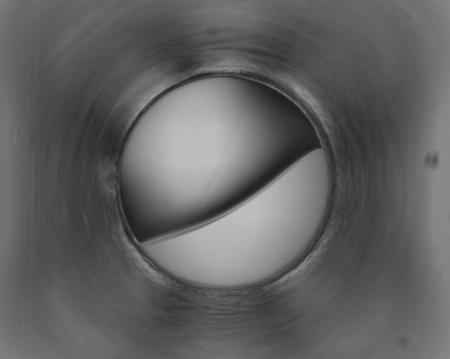 X0000091011329200708021358