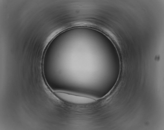 X0000091011330200708021358