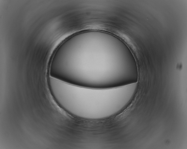 X0000091011331200708021358