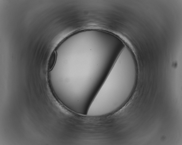 X0000091011333200708021358