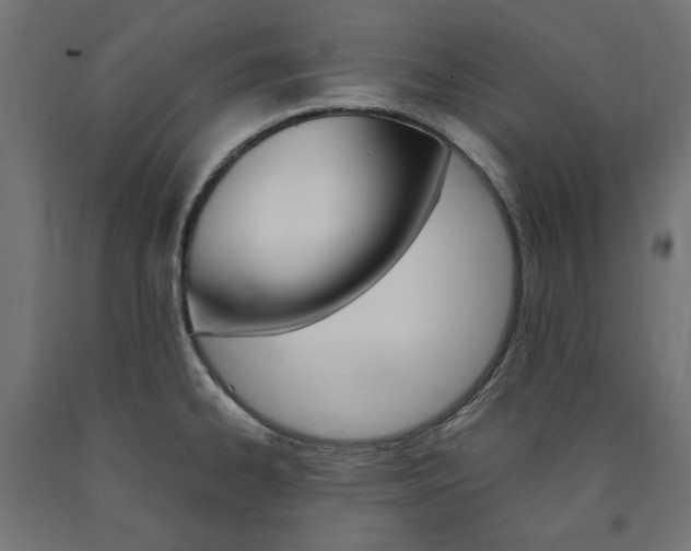 X0000091011334200708021358