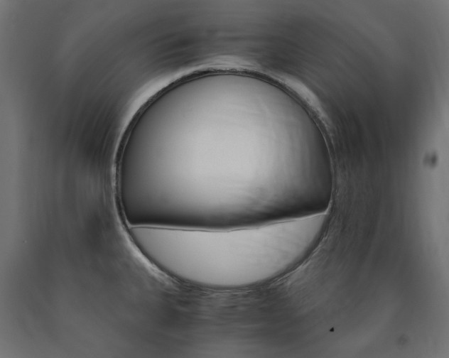X0000091011335200708021358