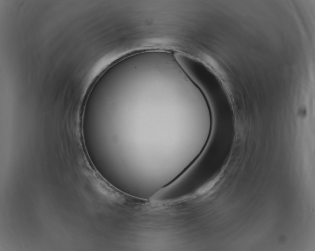 X0000091011336200708021358