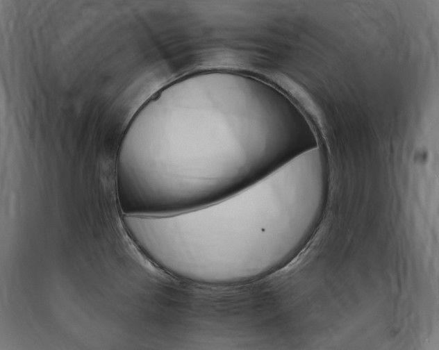 X0000091011337200708021358