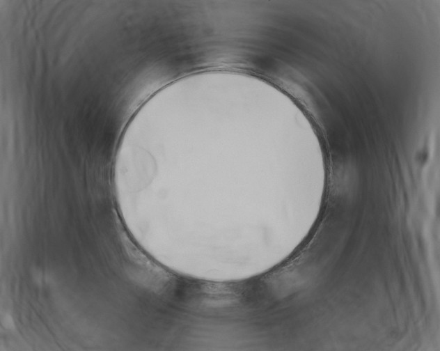 X0000091011338200708021358