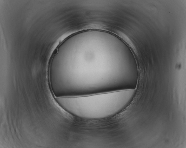 X0000091011339200708021358