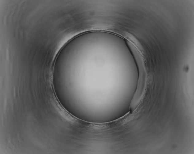 X0000091011340200708021358