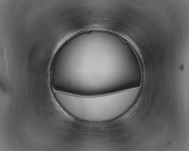 X0000091011341200708021358