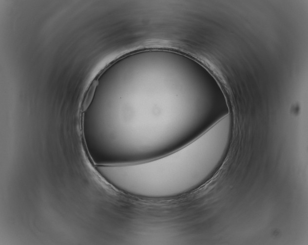 X0000091011342200708021358