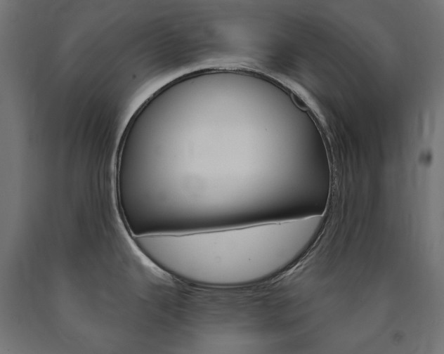 X0000091011343200708021358