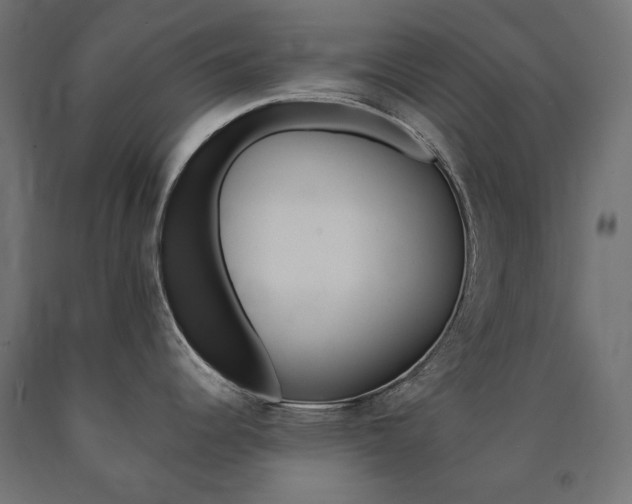 X0000091011344200708021358