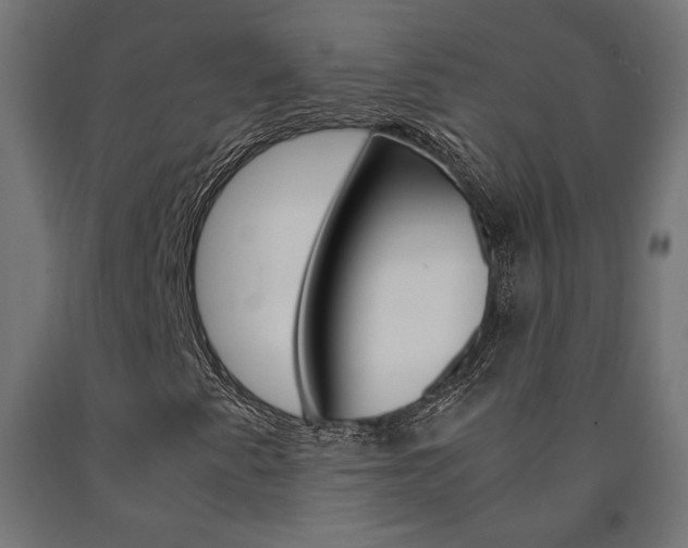 X0000091011345200708021357