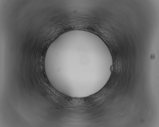 X0000091011346200708021357