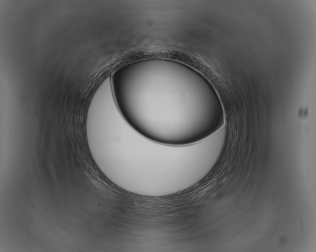 X0000091011348200708021357