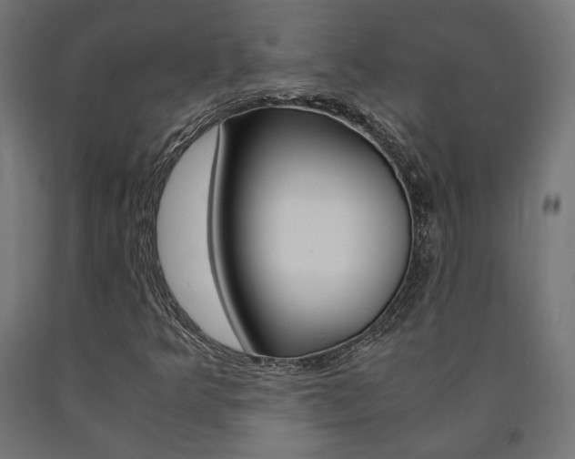 X0000091011349200708021357