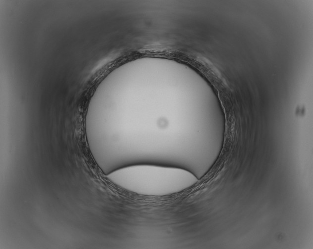 X0000091011350200708021357