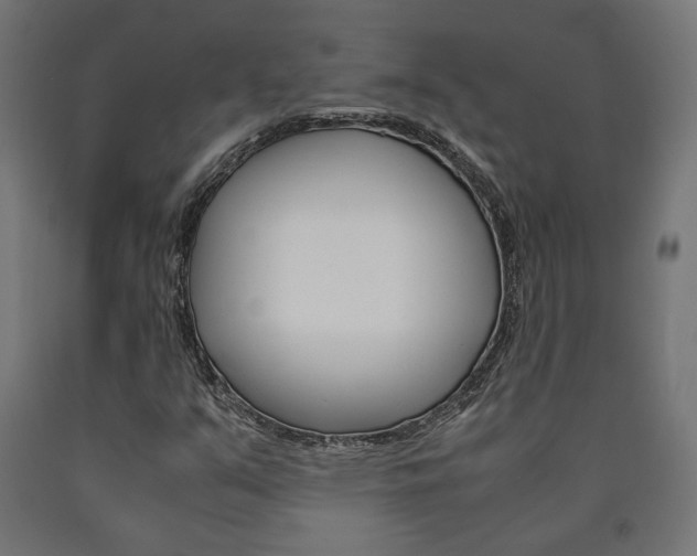 X0000091011351200708021357