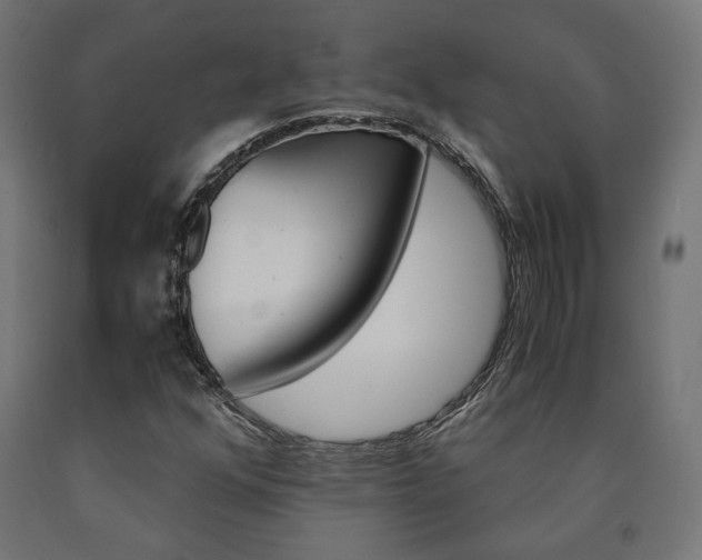 X0000091011352200708021357