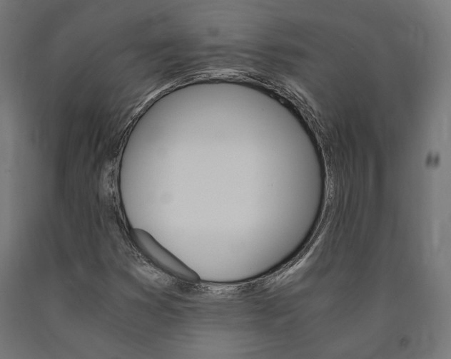 X0000091011353200708021357